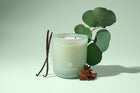 Resilience candle